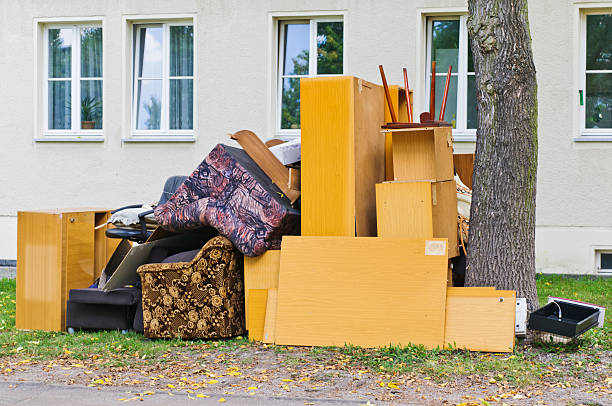 Best Yard Cleanup Services  in Dillon, MT